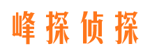 汤阴侦探调查公司